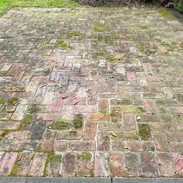 Before cleaning: Brick patio restoration